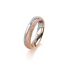 110.1868.445 RW Kreis